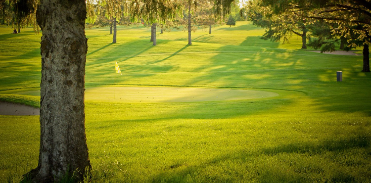 Course Details Faribault Golf Club